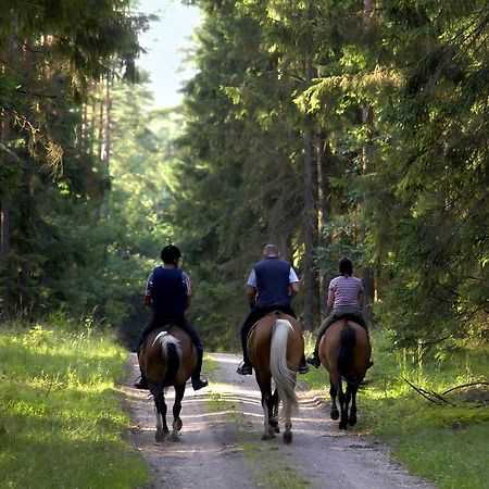 Glen Affric Holiday Park Cannich Экстерьер фото